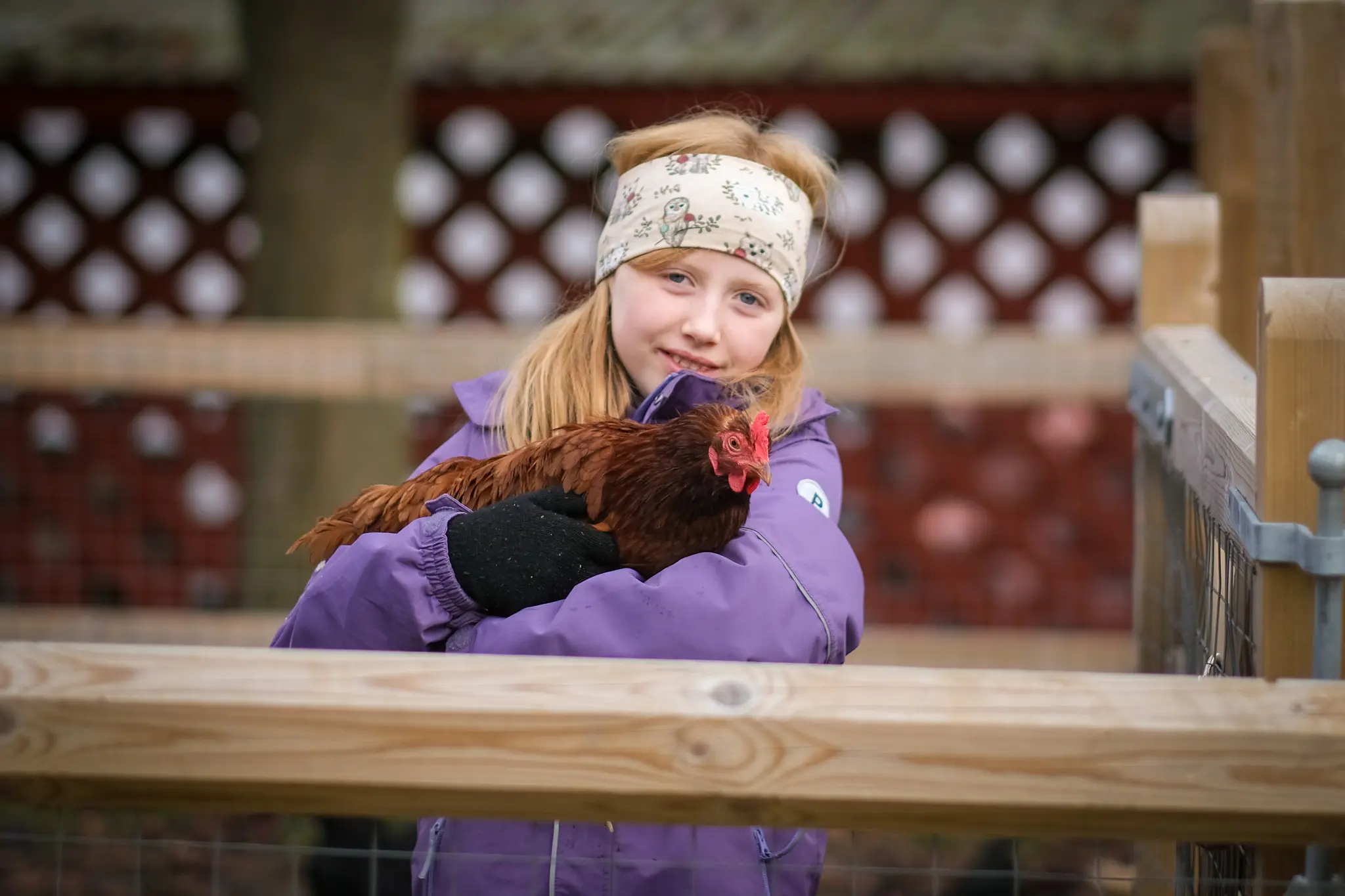 Barn holder en høne på Hjørgunn