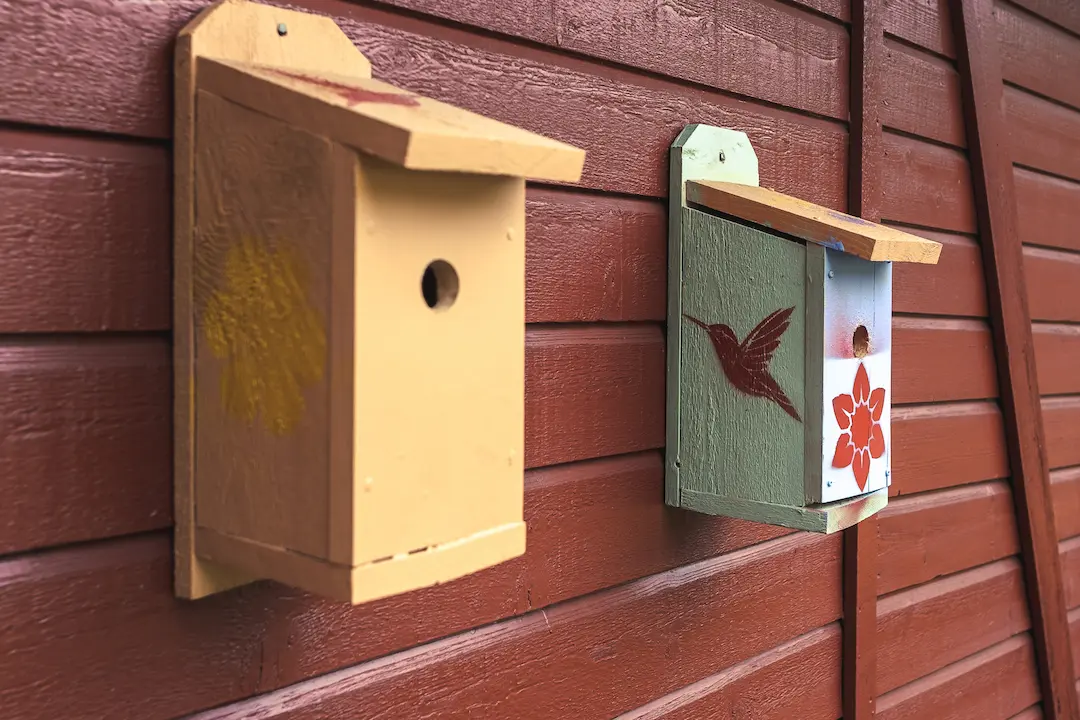 Fuglekasse
