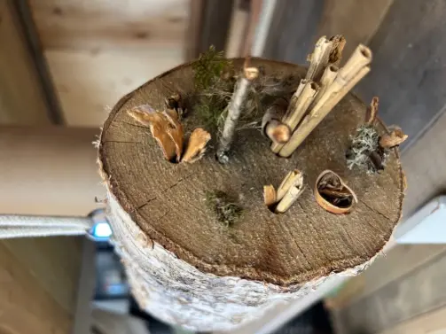 Et lite insektshotell laget av tre og naturmaterialer